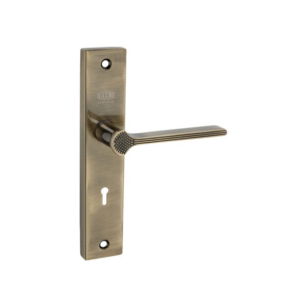 A-SS-Tiger Stainless Steel Mortice Handle