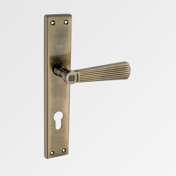 Mortice Handle A-SS-Rolex – 10 Zinc Handle with S.S.304 Stainless Steel Plate – Antique S.S. Black Matt Finish