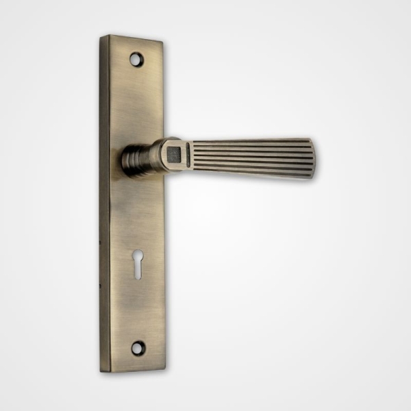 Mortice Handle A-SS-Rolex – 8 Zinc Handle with S.S.304 Plate – Antique S.S. Finish