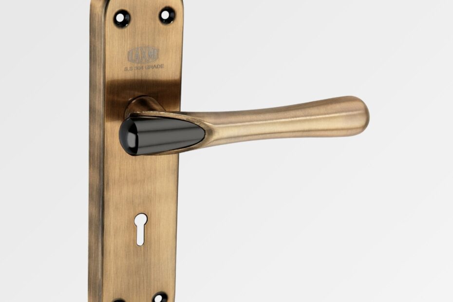 Mortice-Handle-A-SS-Bullet-–-8-Zinc-Handle-with-S.S.304-Stainless-Steel-Plate-–-S.S.-Antique-Black-Finish