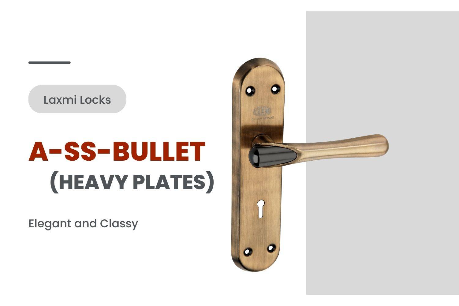 Mortice Handle by A-SS-Bullet by Laxmi Locks